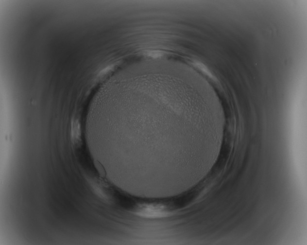 X0000086110500200703301240