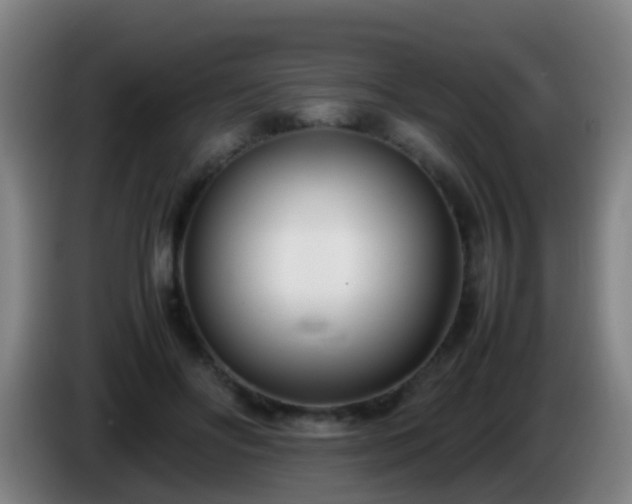 X0000086110502200703301240