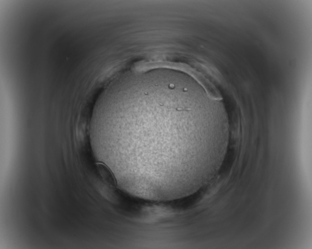 X0000086110503200703301240