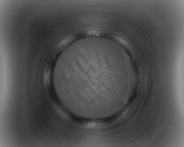 X0000086110504200703301240