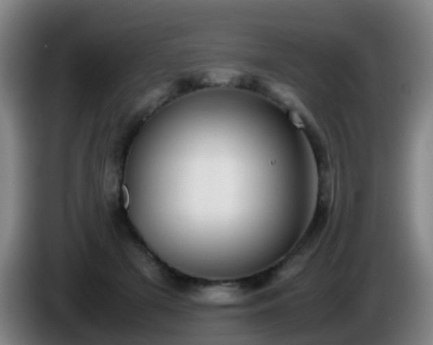 X0000086110505200703301240