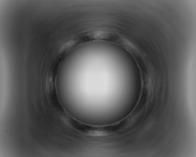 X0000086110506200703301240