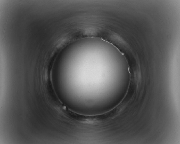 X0000086110508200703301240