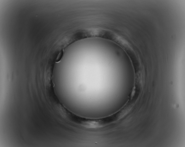 X0000086110509200703301239