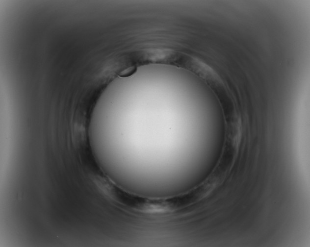 X0000086110510200703301239