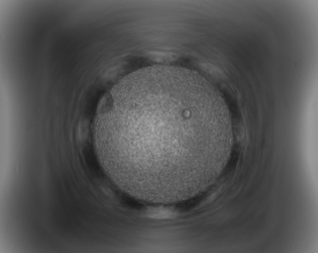 X0000086110511200703301239