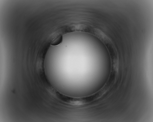 X0000086110514200703301239