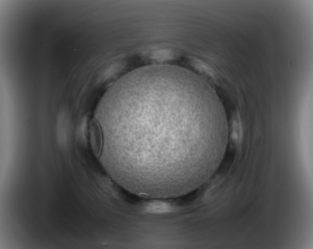 X0000086110519200703301239