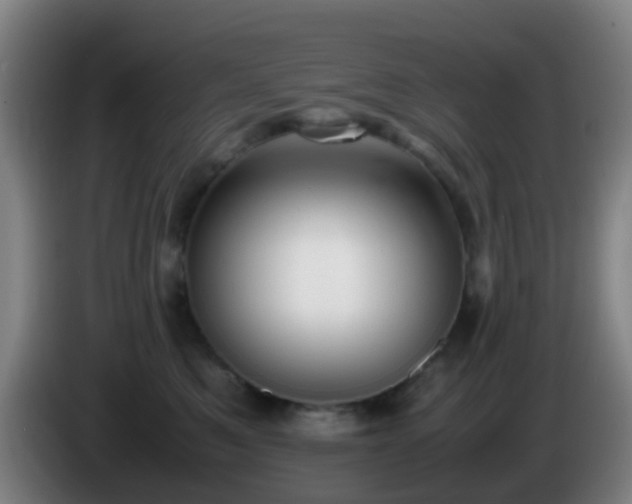 X0000086110521200703301239