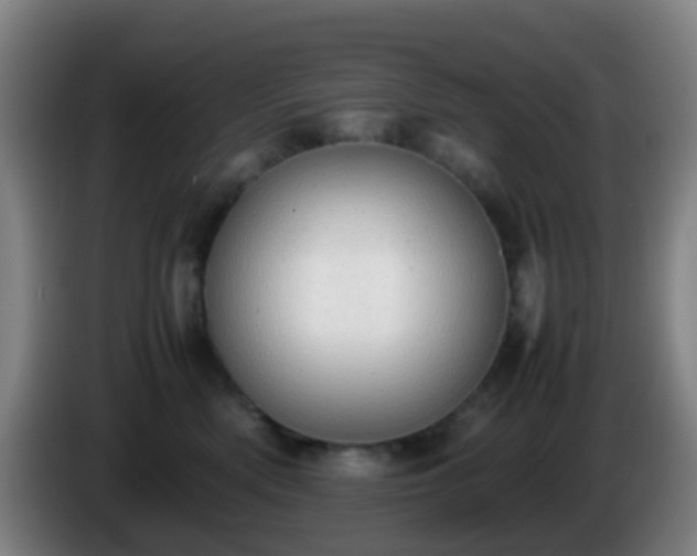 X0000086110522200703301239