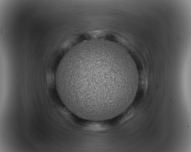 X0000086110523200703301239