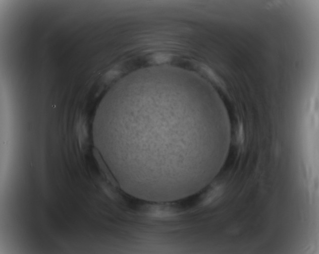 X0000086110524200703301239