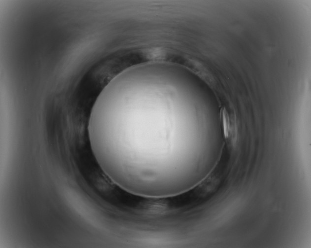 X0000086110525200703301239