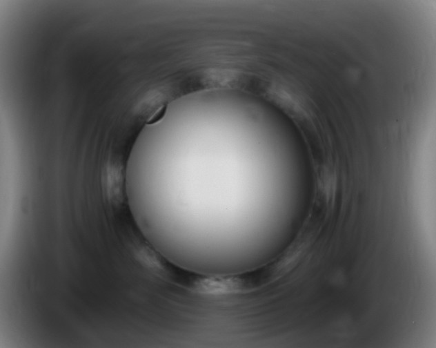 X0000086110526200703301239