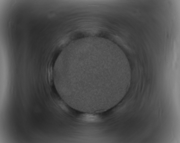 X0000086110528200703301239