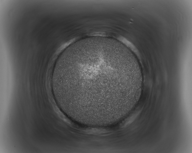 X0000086110529200703301239