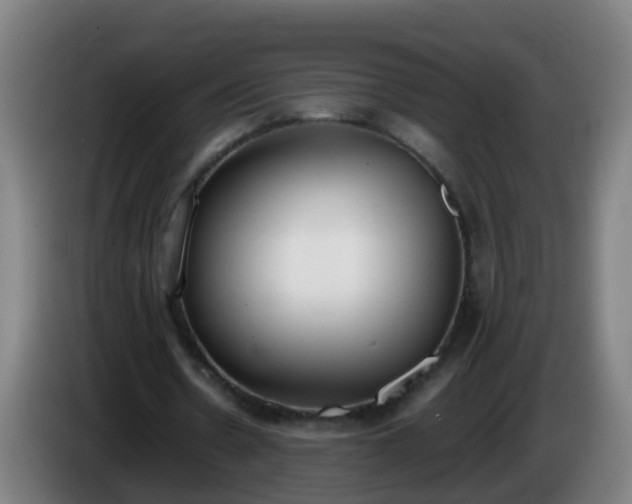 X0000086110530200703301239