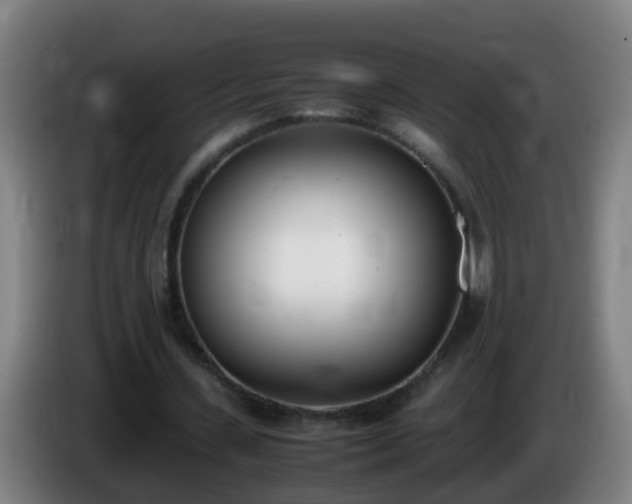 X0000086110531200703301239