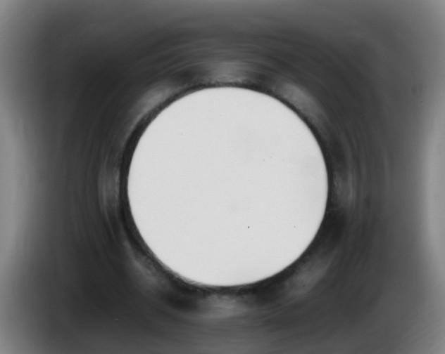 X0000086110534200703301239