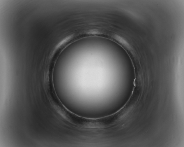 X0000086110535200703301239