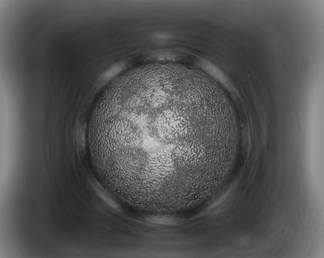 X0000086110537200703301239