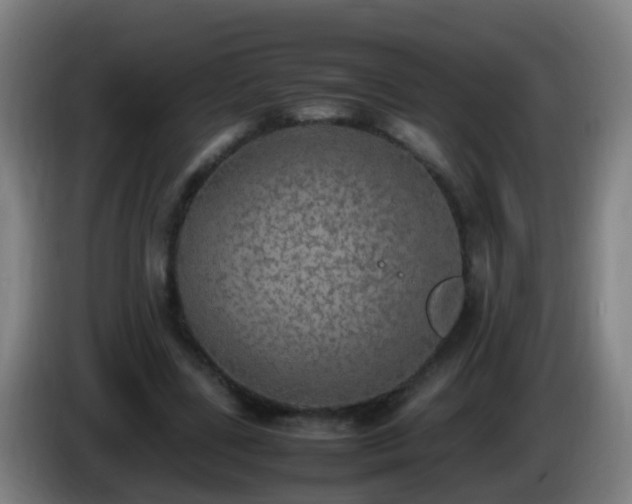 X0000086110539200703301239