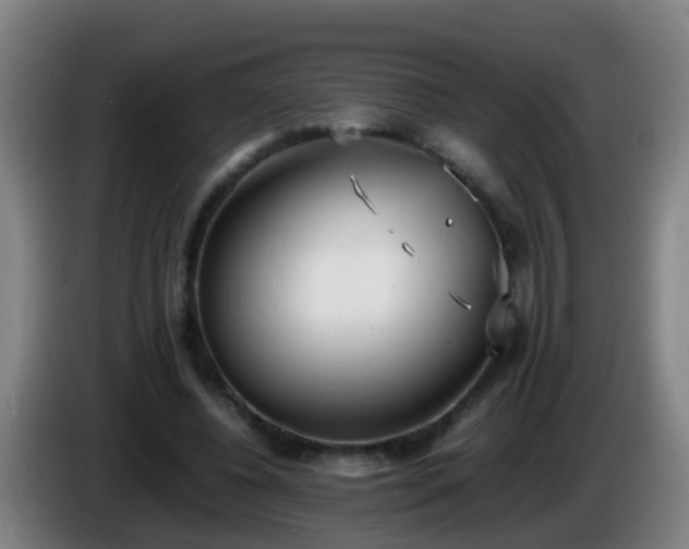 X0000086110540200703301239