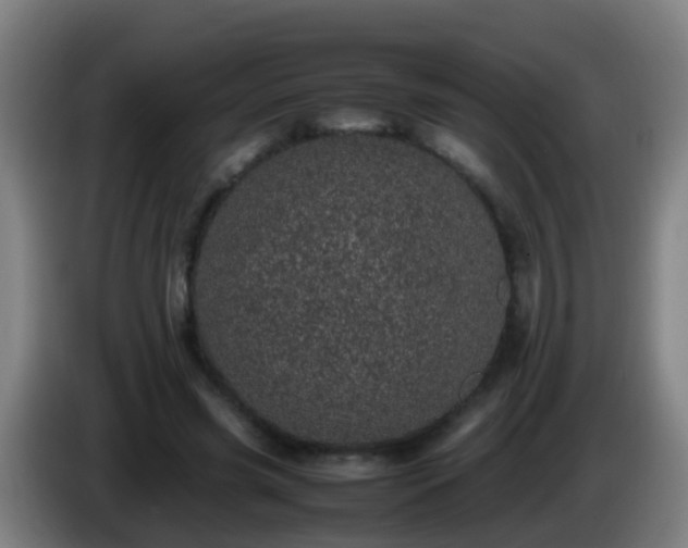 X0000086110541200703301239