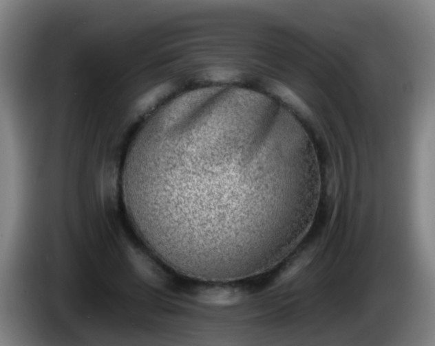 X0000086110542200703301239