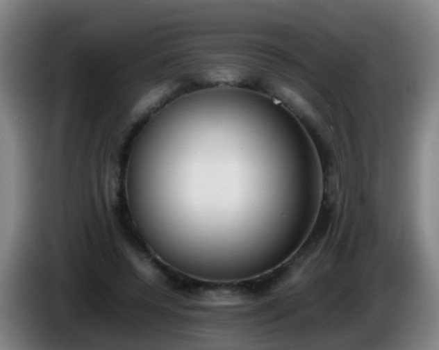 X0000086110544200703301239