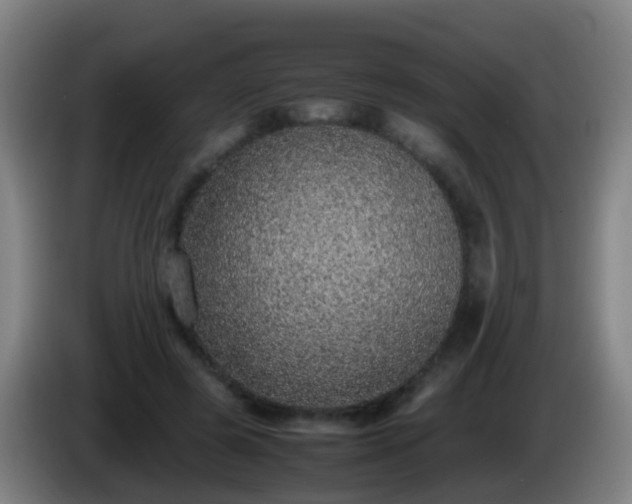 X0000086110545200703301239