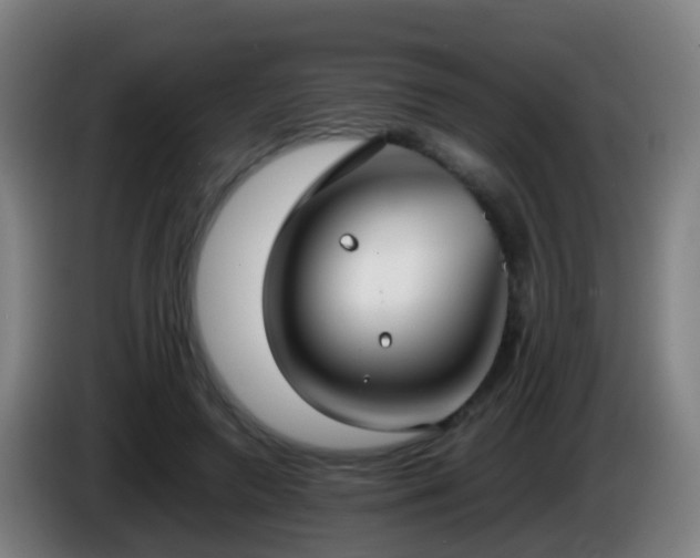 X0000086110546200703301239