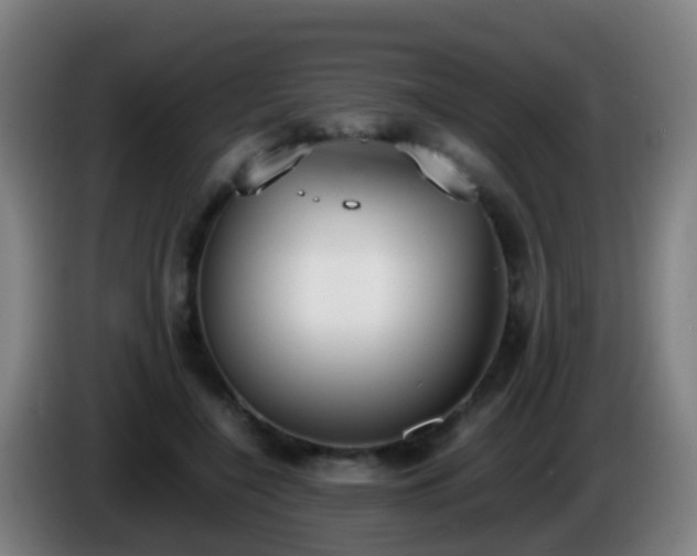 X0000086110548200703301239