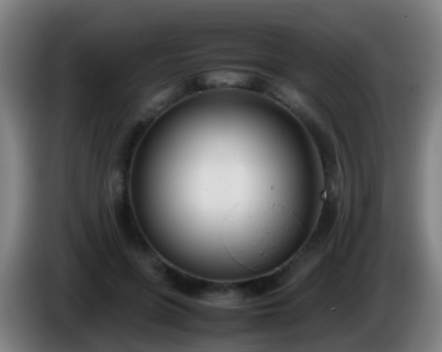 X0000086110551200703301239