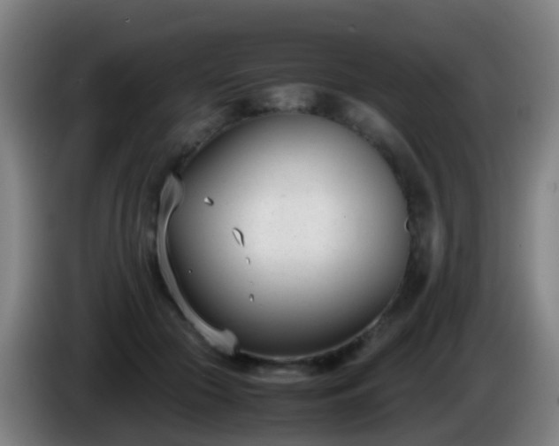 X0000086110553200703301239