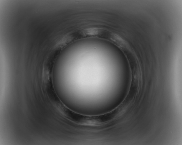 X0000086110555200703301239