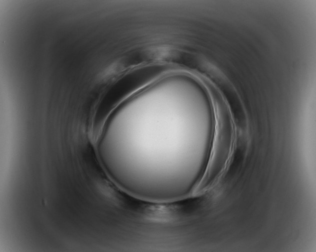 X0000086110558200703301239