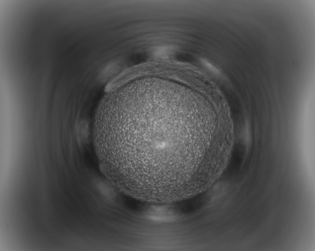 X0000086110560200703301239
