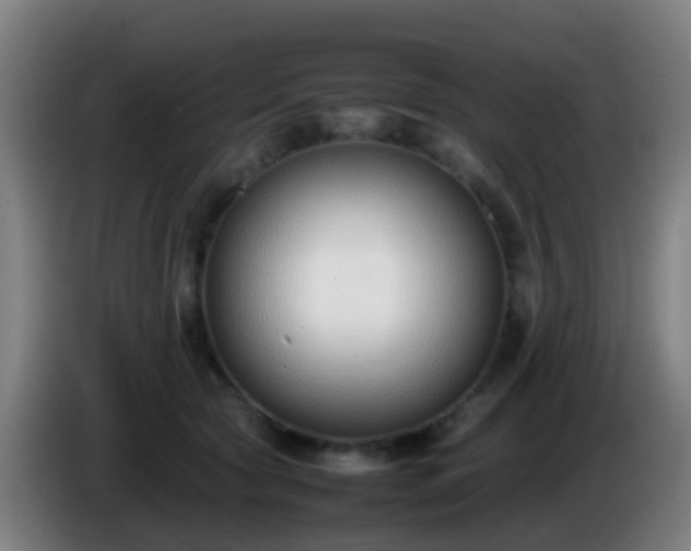 X0000086110561200703301239