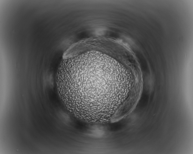 X0000086110562200703301239