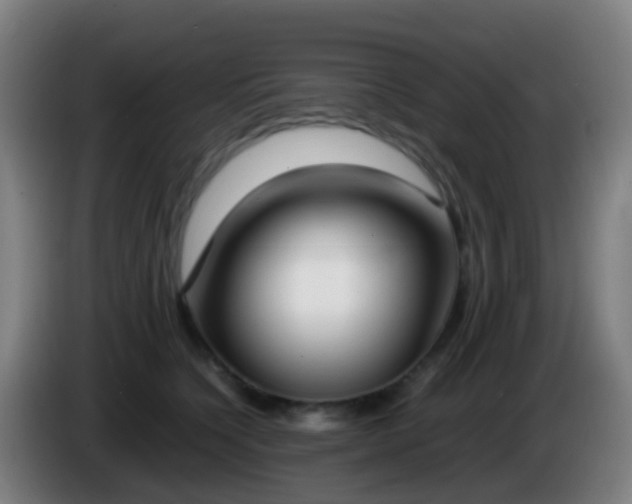 X0000086110564200703301239