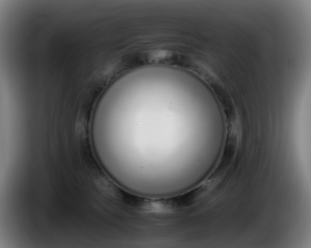 X0000086110565200703301239