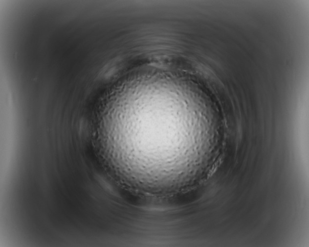 X0000086110568200703301239