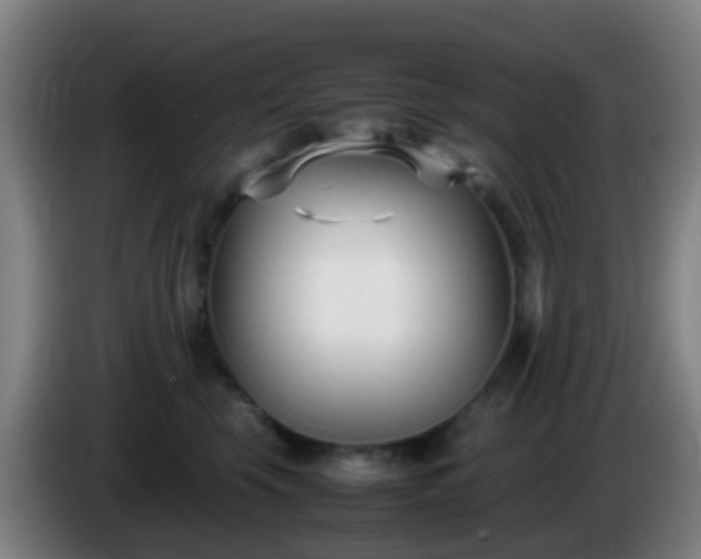 X0000086110569200703301239