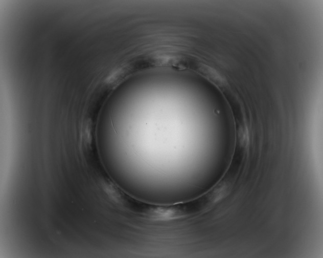 X0000086110570200703301239