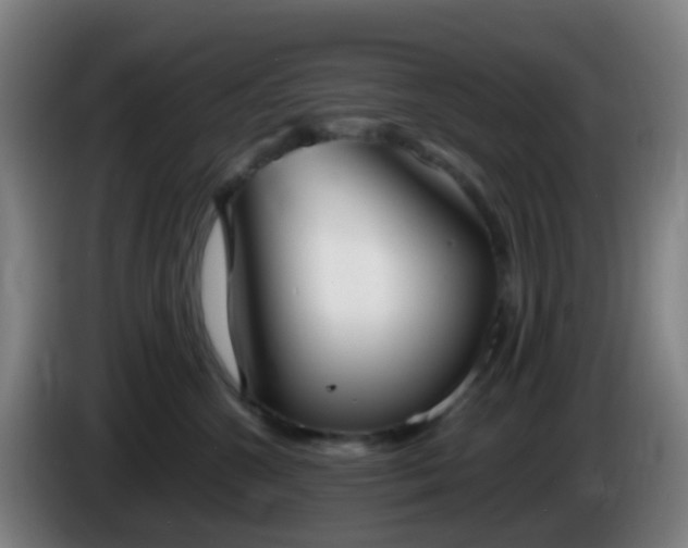 X0000086110572200703301239