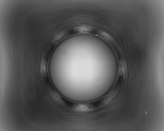 X0000086110573200703301239