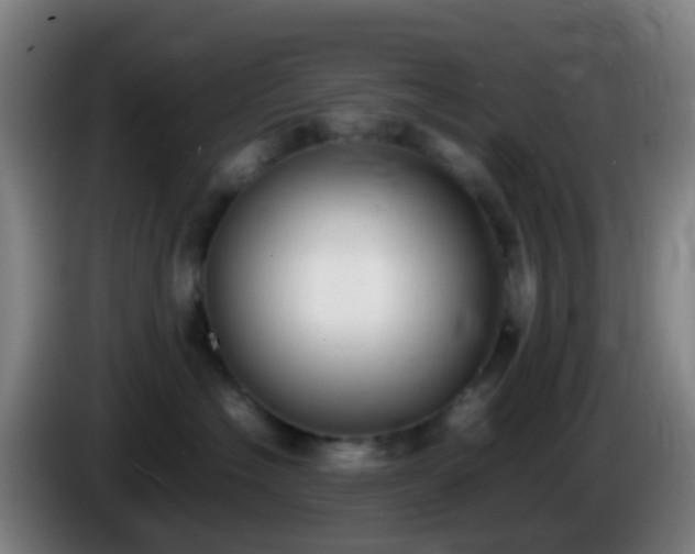 X0000086110574200703301239