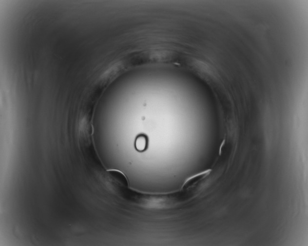 X0000086110575200703301239