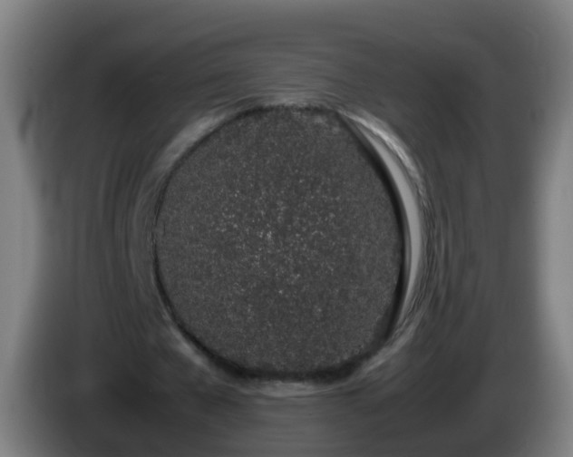 X0000086110577200703301239